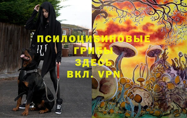 соль ск Алексин