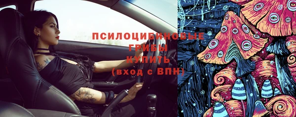 соль ск Алексин