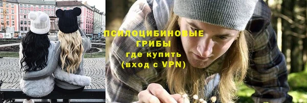 ешки Алексеевка